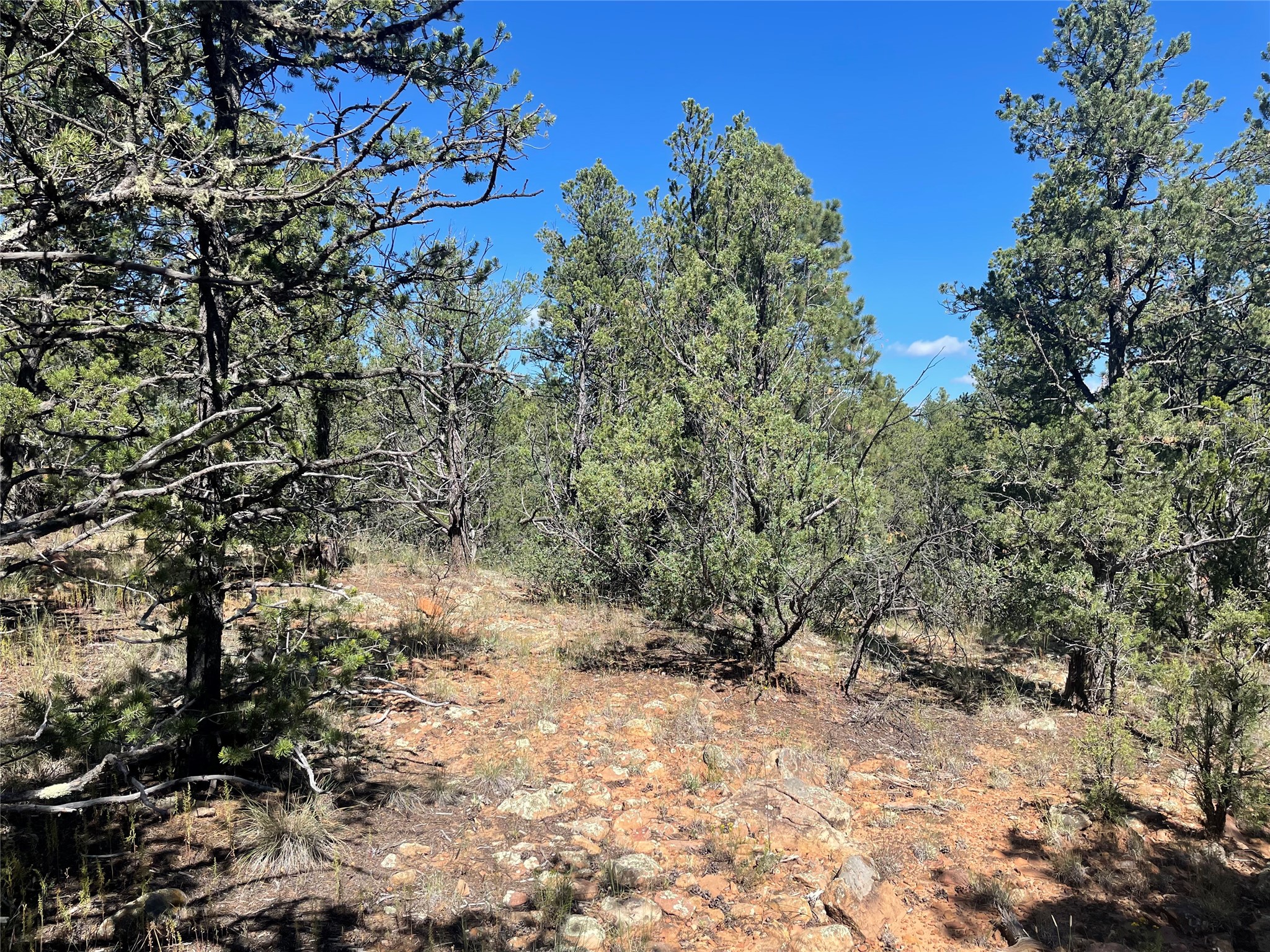 Lot 5B4 Wildflower Lane