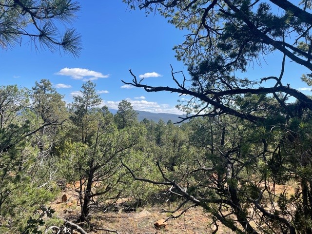 Lot 5B4 Wildflower Lane