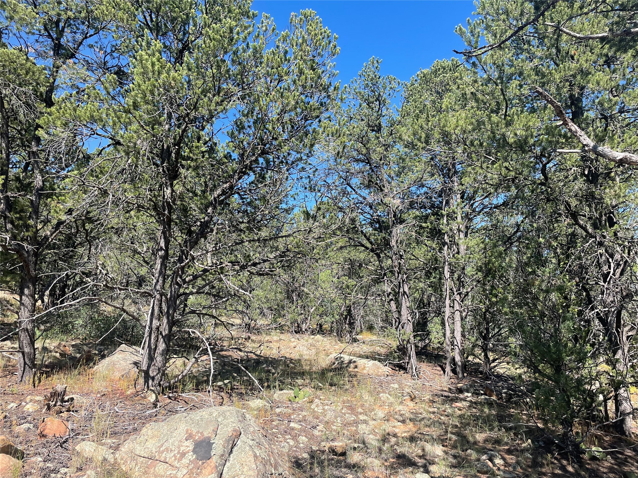 Lot 5B4 Wildflower Lane
