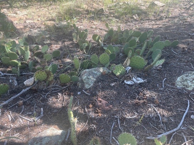 Lot 5B4 Wildflower Lane