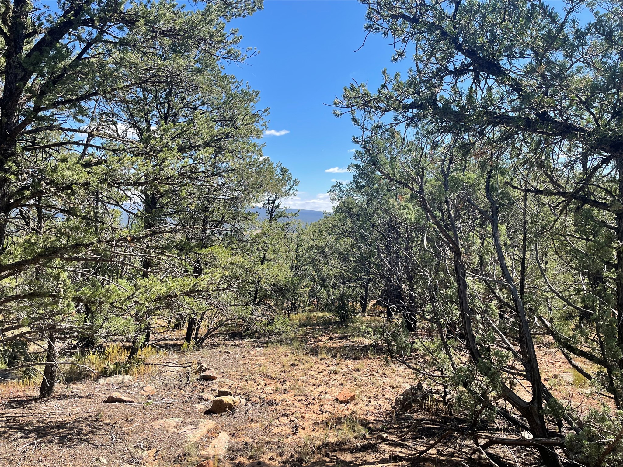 Lot 5B4 Wildflower Lane