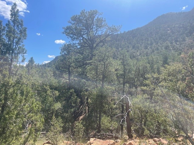 Lot 5B4 Wildflower Lane