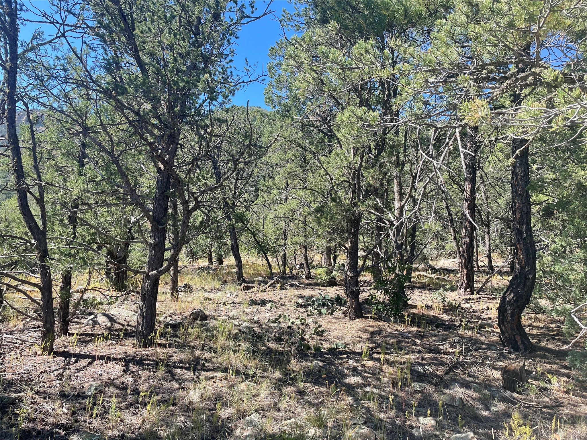 Lot 5B4 Wildflower Lane
