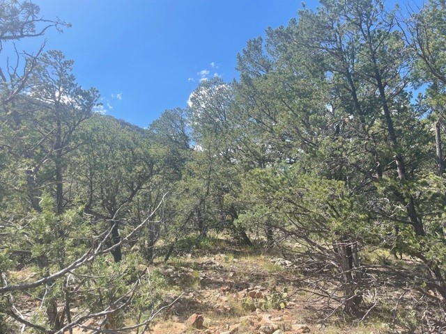 Lot 5B4 Wildflower Lane