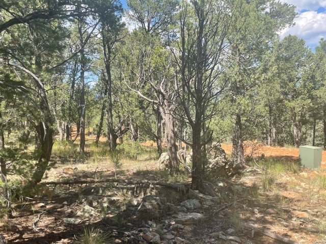 Lot 5B4 Wildflower Lane