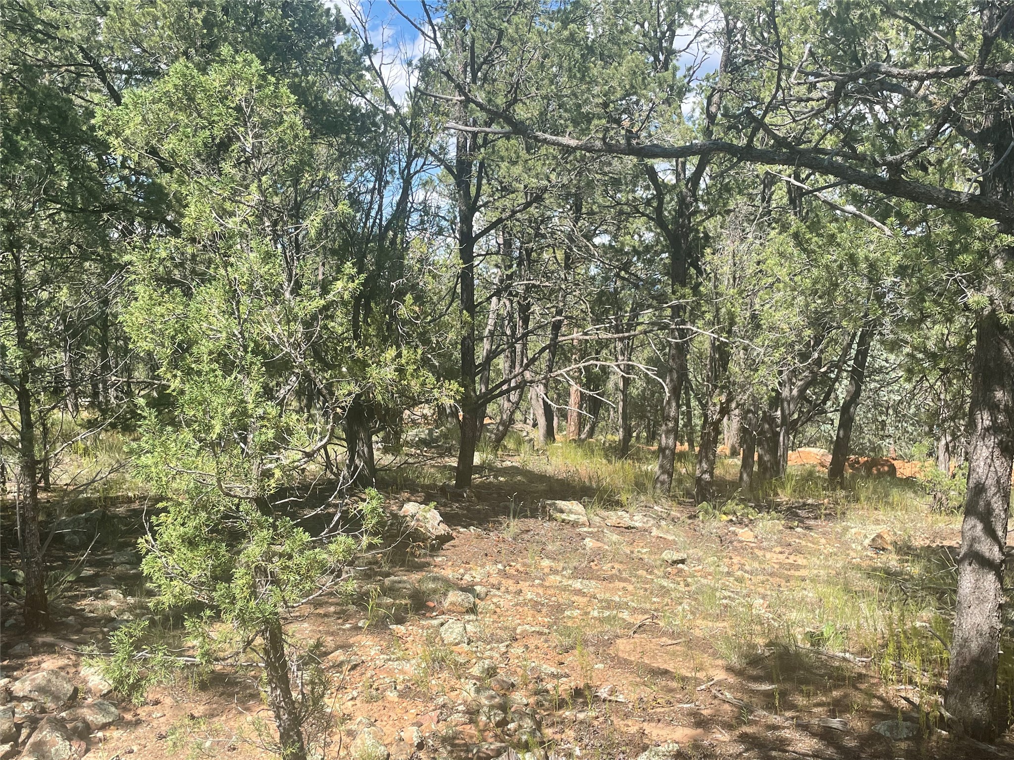 Lot 5B4 Wildflower Lane