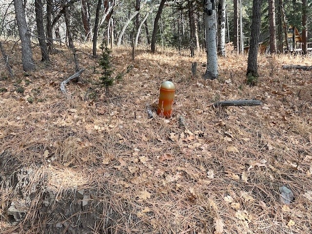 Lot 3, Block 3 Unit 1 Pecos Canyon Estates