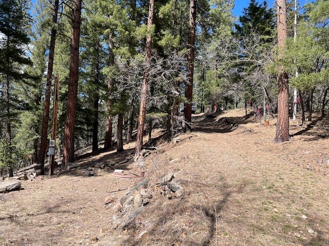 Lot 3, Block 3 Unit 1 Pecos Canyon Estates