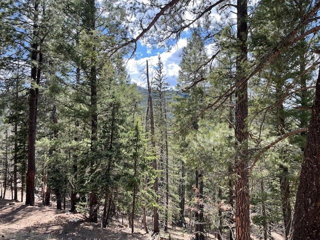 Lot 3, Block 3 Unit 1 Pecos Canyon Estates