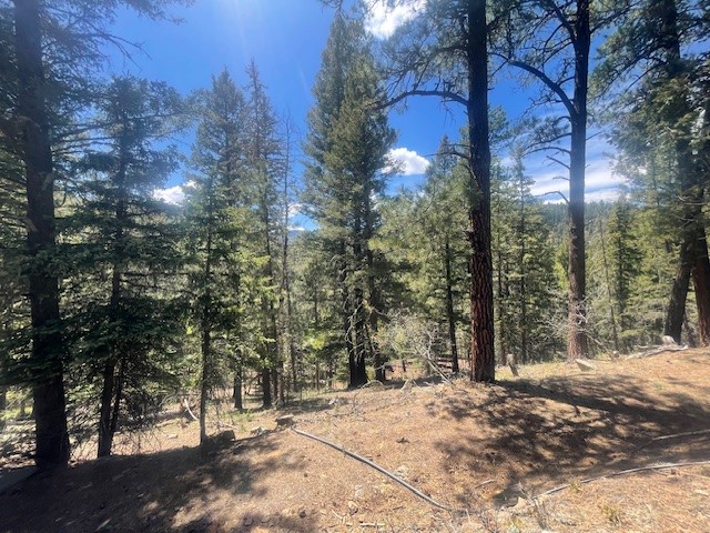 Lot 3, Block 3 Unit 1 Pecos Canyon Estates