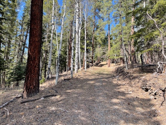 Lot 3, Block 3 Unit 1 Pecos Canyon Estates
