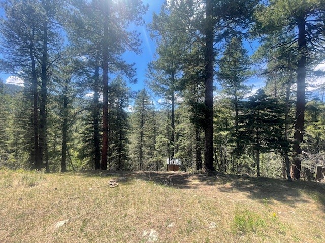 Lot 3, Block 3 Unit 1 Pecos Canyon Estates