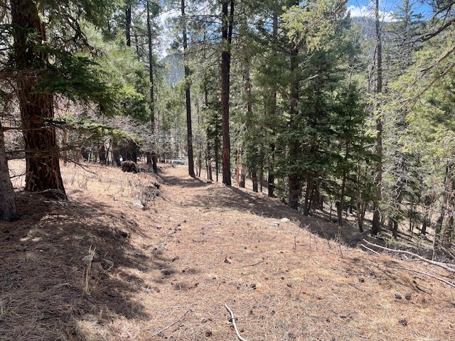 Lot 3, Block 3 Unit 1 Pecos Canyon Estates