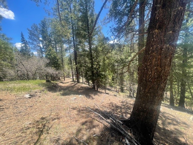 Lot 3, Block 3 Unit 1 Pecos Canyon Estates
