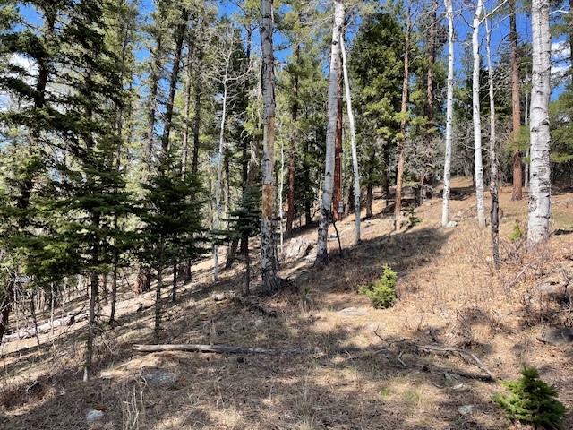 Lot 3, Block 3 Unit 1 Pecos Canyon Estates