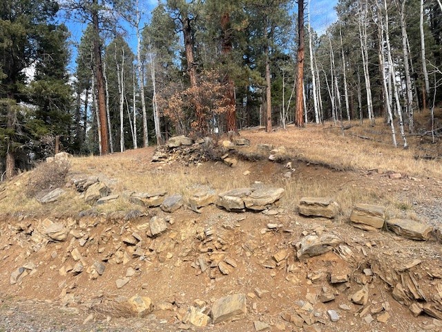 Lot 3, Block 3 Unit 1 Pecos Canyon Estates