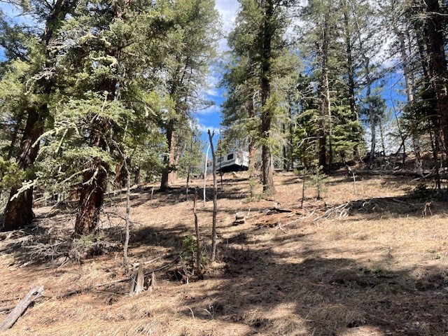 Lot 3, Block 3 Unit 1 Pecos Canyon Estates