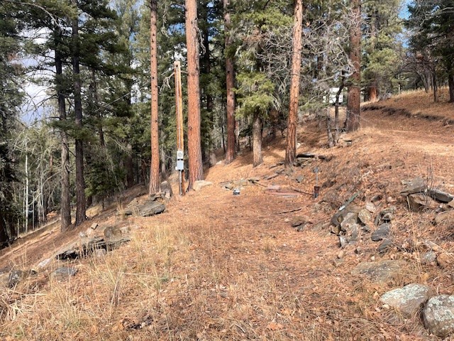 Lot 3, Block 3 Unit 1 Pecos Canyon Estates