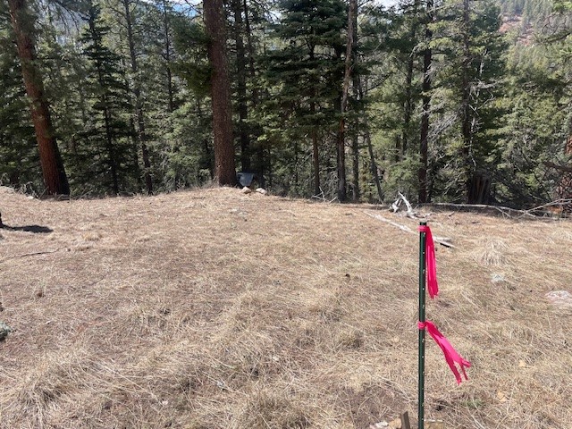 Lot 3, Block 3 Unit 1 Pecos Canyon Estates