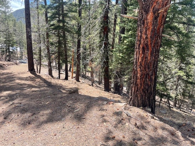 Lot 3, Block 3 Unit 1 Pecos Canyon Estates