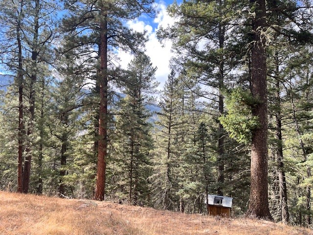 Lot 3, Block 3 Unit 1 Pecos Canyon Estates