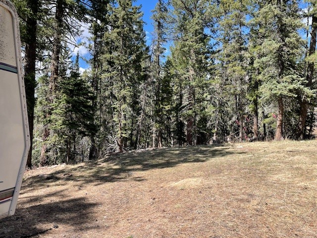 Lot 3, Block 3 Unit 1 Pecos Canyon Estates