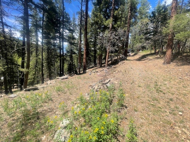 Lot 3, Block 3 Unit 1 Pecos Canyon Estates
