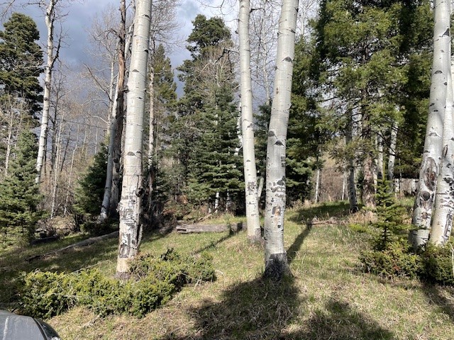 321 Iron Gate Rd