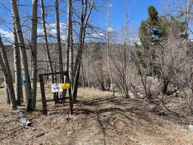 321 Iron Gate Rd