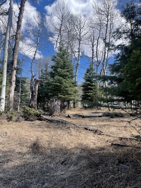 321 Iron Gate Rd