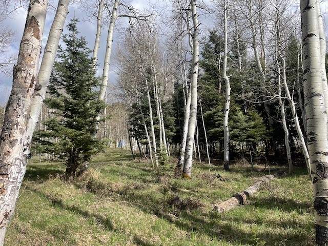 321 Iron Gate Rd