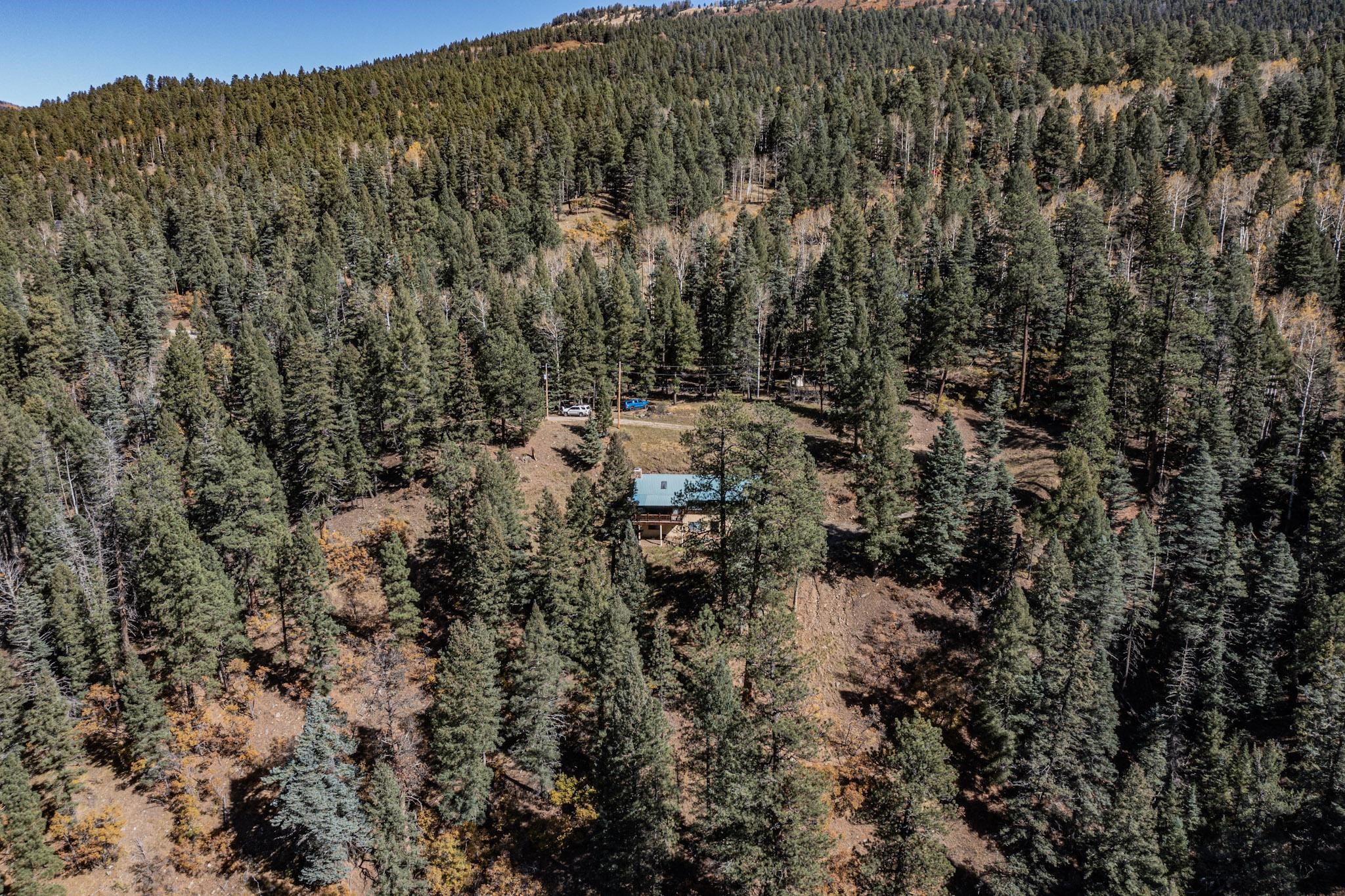 12 Pine Lane