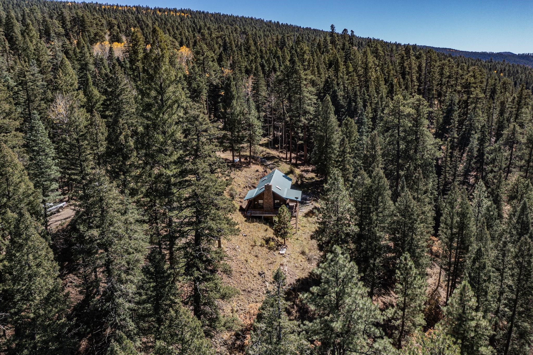 12 Pine Lane