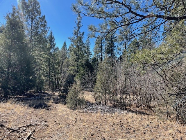 18.46 Acres Cuchilla Blanca Road