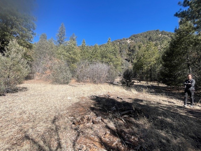 18.46 Acres Cuchilla Blanca Road