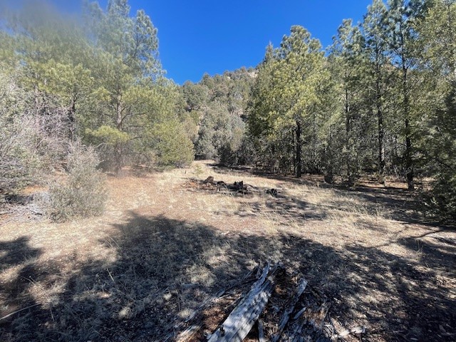 18.46 Acres Cuchilla Blanca Road