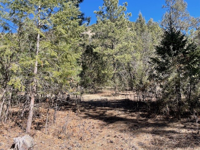 18.46 Acres Cuchilla Blanca Road