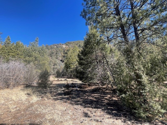 18.46 Acres Cuchilla Blanca Road