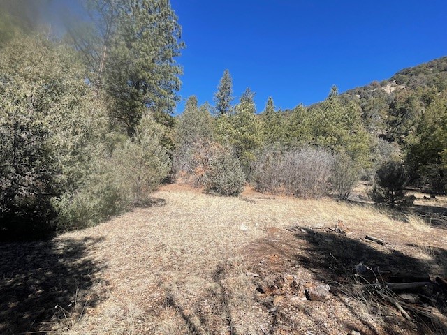 18.46 Acres Cuchilla Blanca Road