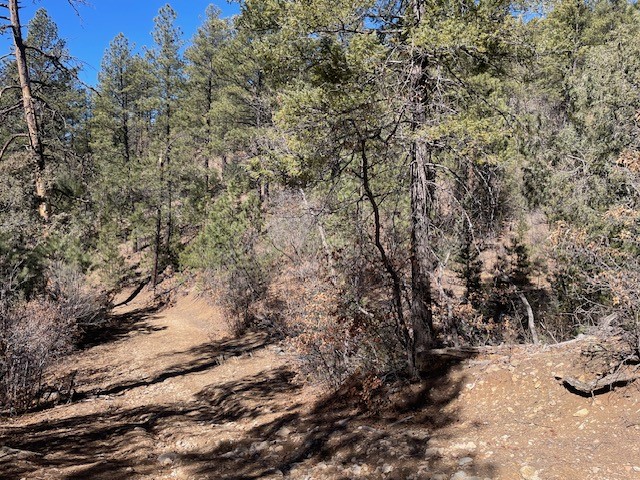 18.46 Acres Cuchilla Blanca Road