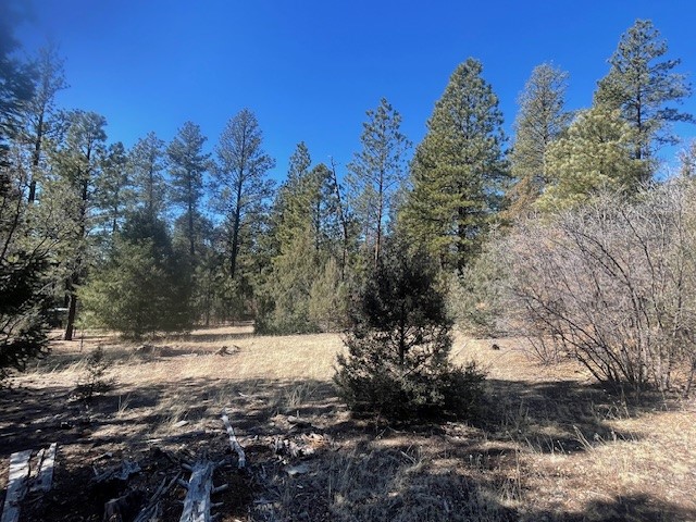 18.46 Acres Cuchilla Blanca Road