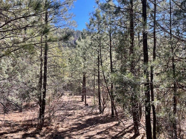 18.46 Acres Cuchilla Blanca Road