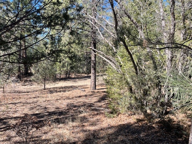 18.46 Acres Cuchilla Blanca Road