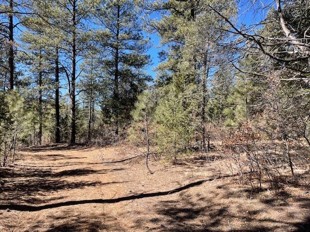 18.46 Acres Cuchilla Blanca Road
