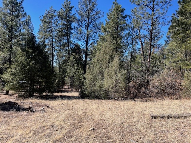 18.46 Acres Cuchilla Blanca Road