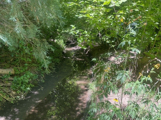6&7 Rainbow Trout Lane