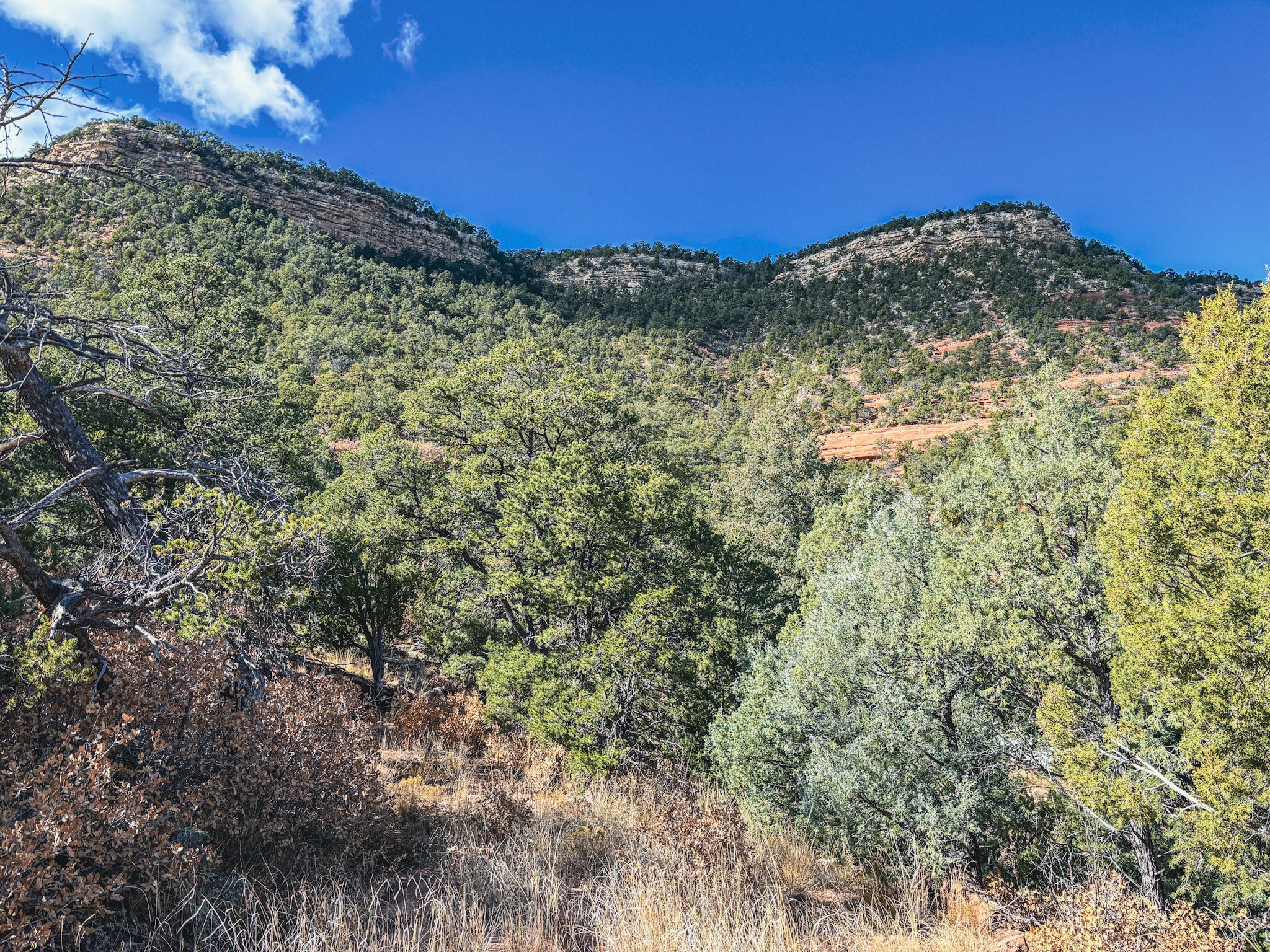 Tracts D1, D2-A, D2-B Dragonfly Canyon Rd