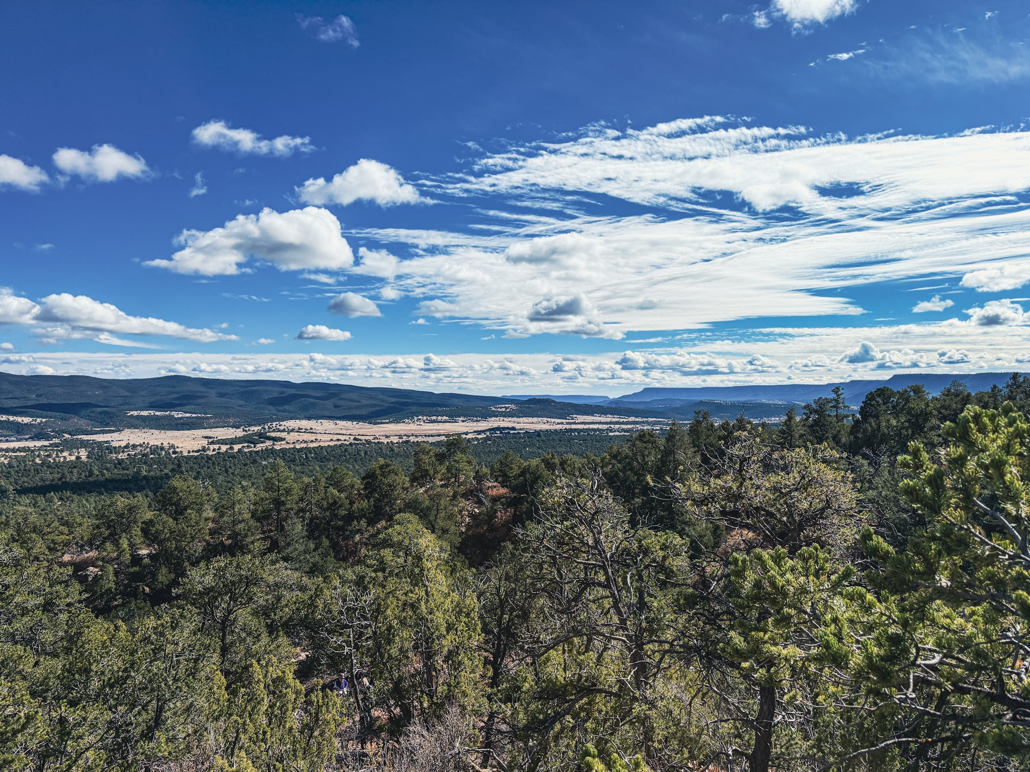 Tracts D1, D2-A, D2-B Dragonfly Canyon Rd