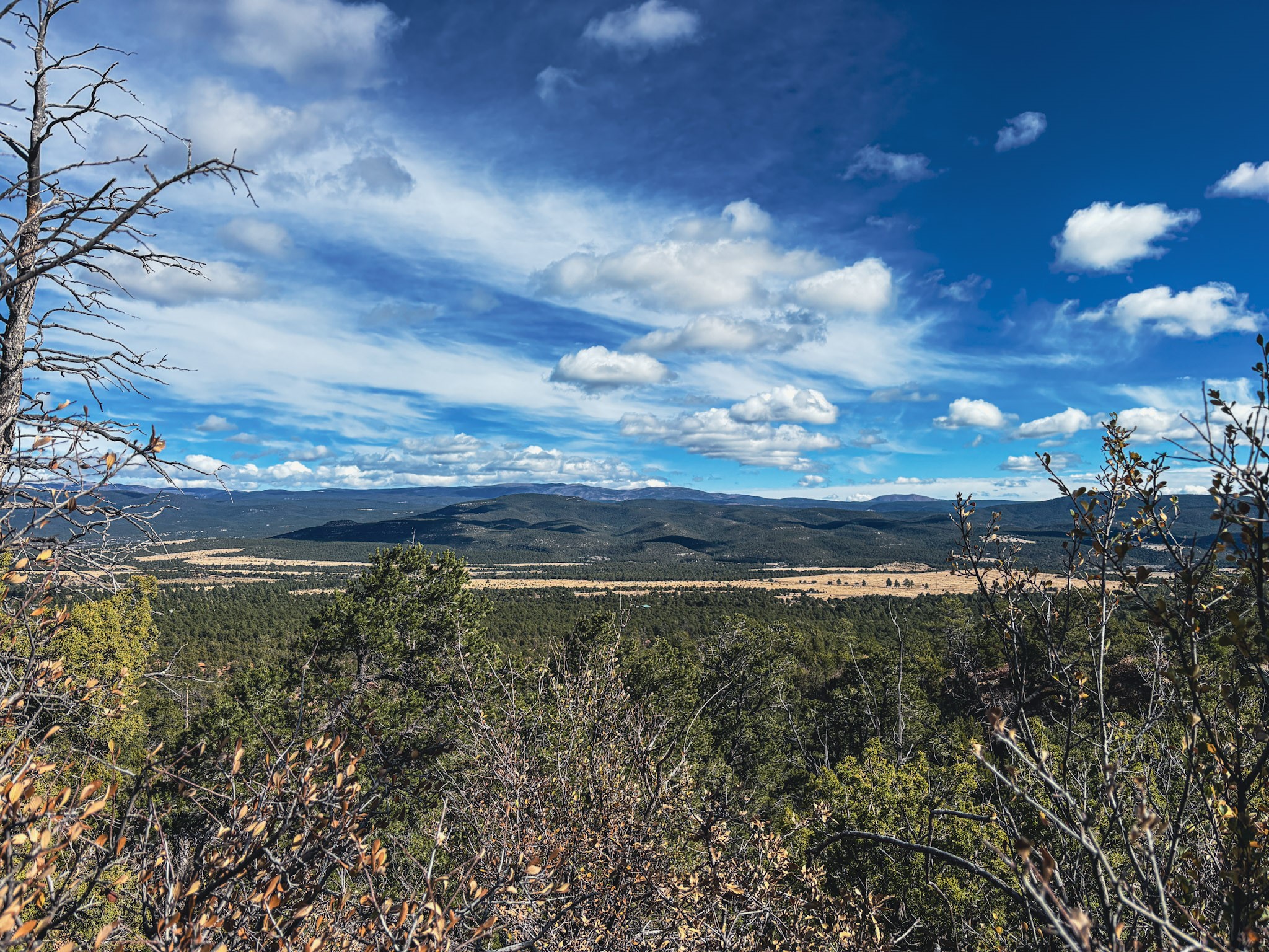 Tracts D1, D2-A, D2-B Dragonfly Canyon Rd