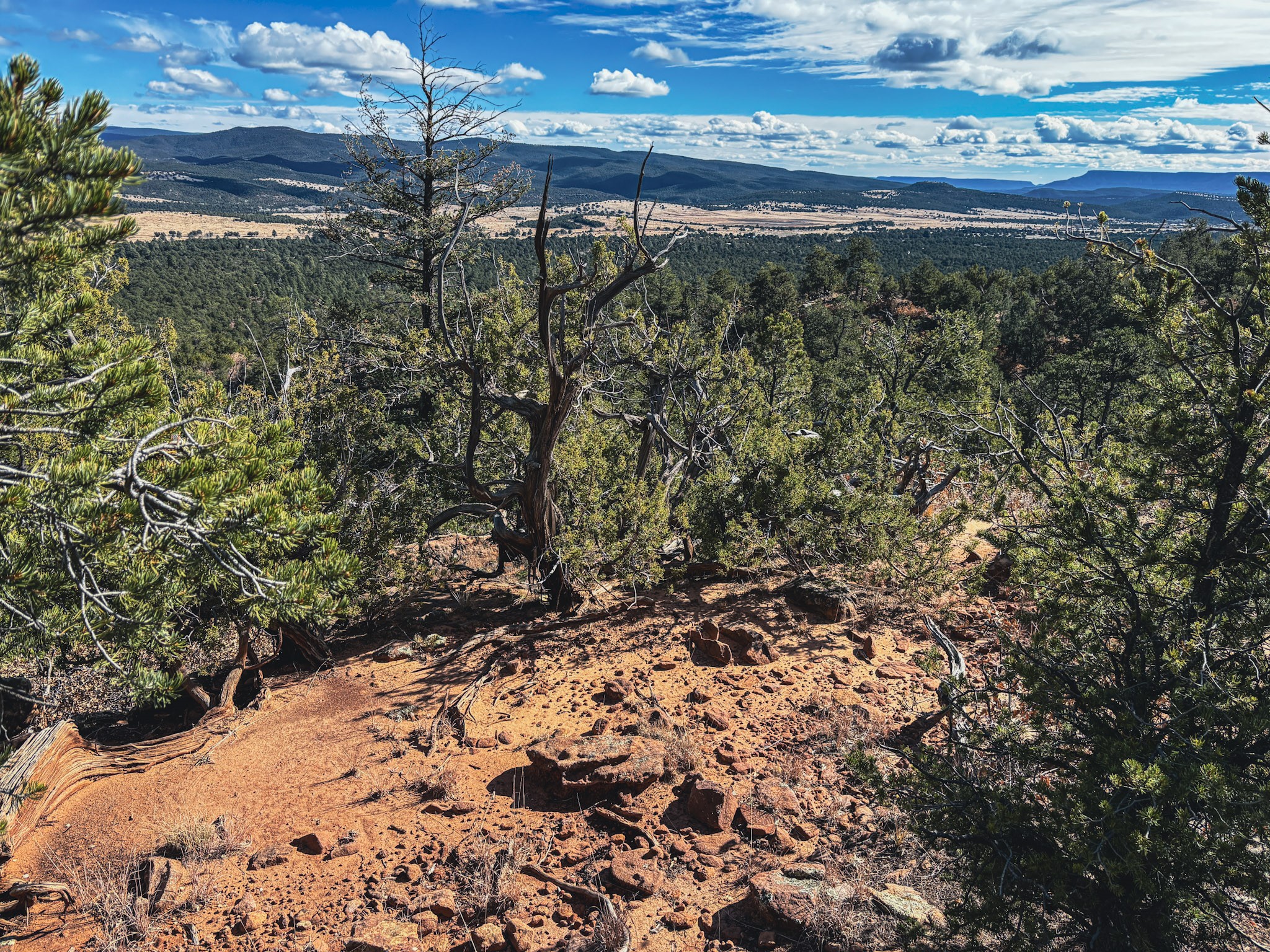 Tracts D1, D2-A, D2-B Dragonfly Canyon Rd